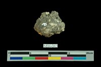 藏品(黃鐵礦)的圖片